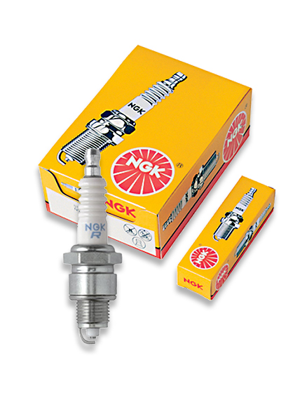 ngk standard